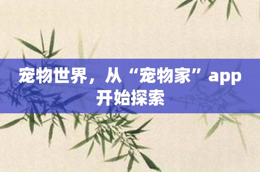 宠物世界，从“宠物家”app开始探索