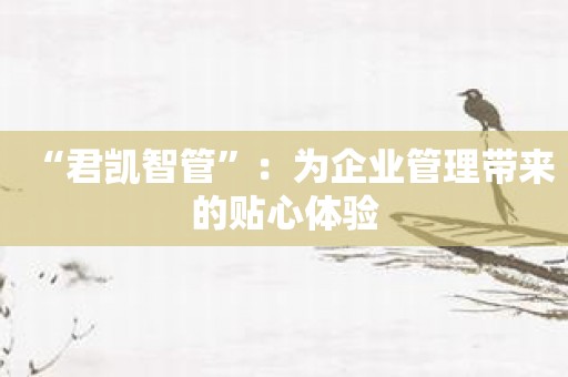 “君凯智管”：为企业管理带来的贴心体验