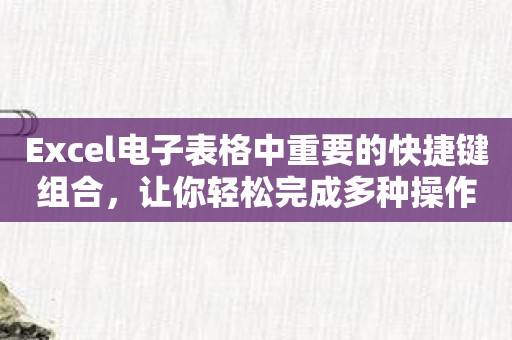 Excel电子表格中重要的快捷键组合，让你轻松完成多种操作。