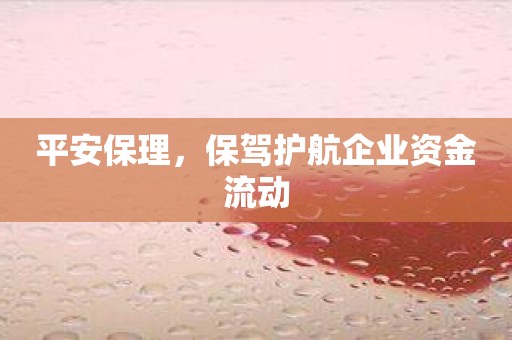 平安保理，保驾护航企业资金流动