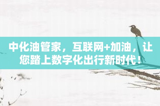 中化油管家，互联网+加油，让您踏上数字化出行新时代！