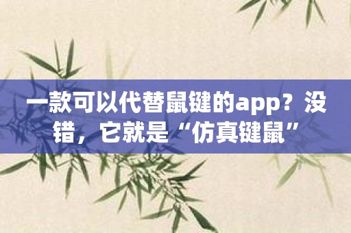 一款可以代替鼠键的app？没错，它就是“仿真键鼠”