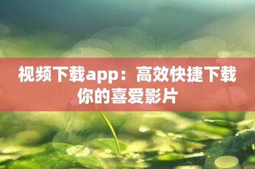 视频下载app：高效快捷下载你的喜爱影片