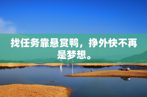 找任务靠悬赏鸭，挣外快不再是梦想。