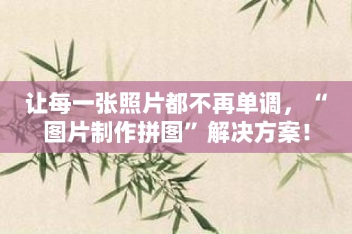 让每一张照片都不再单调，“图片制作拼图”解决方案！