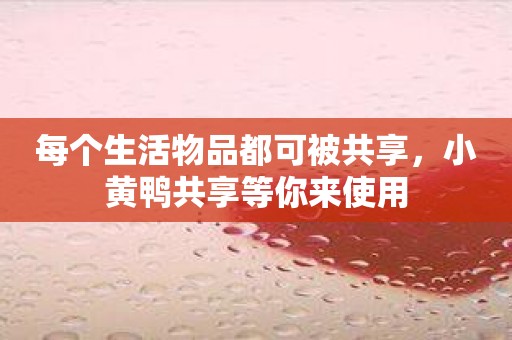 每个生活物品都可被共享，小黄鸭共享等你来使用