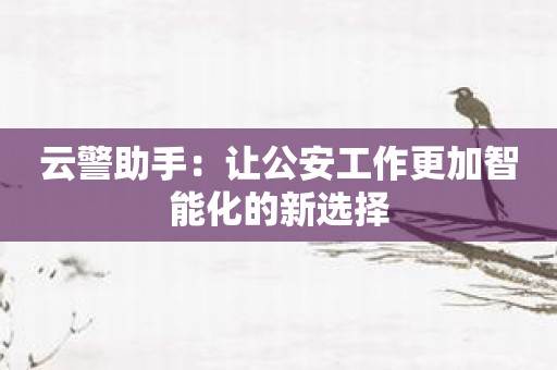 云警助手：让公安工作更加智能化的新选择