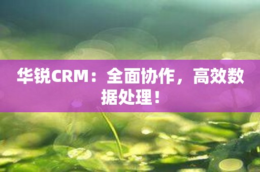 华锐CRM：全面协作，高效数据处理！