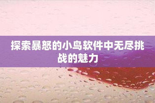 探索暴怒的小鸟软件中无尽挑战的魅力