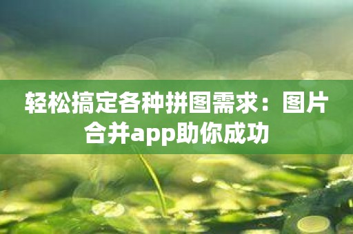 轻松搞定各种拼图需求：图片合并app助你成功