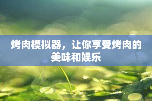 烤肉模拟器，让你享受烤肉的美味和娱乐