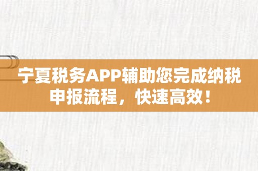 宁夏税务APP辅助您完成纳税申报流程，快速高效！