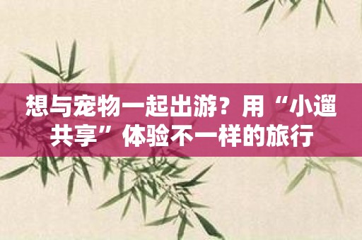 想与宠物一起出游？用“小遛共享”体验不一样的旅行