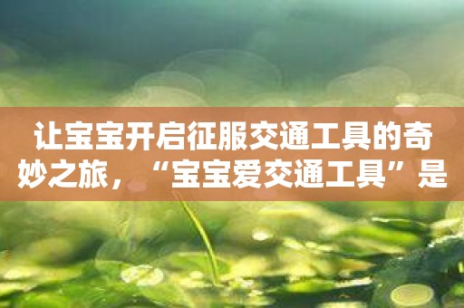让宝宝开启征服交通工具的奇妙之旅，“宝宝爱交通工具”是你的最佳选择