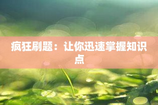 疯狂刷题：让你迅速掌握知识点