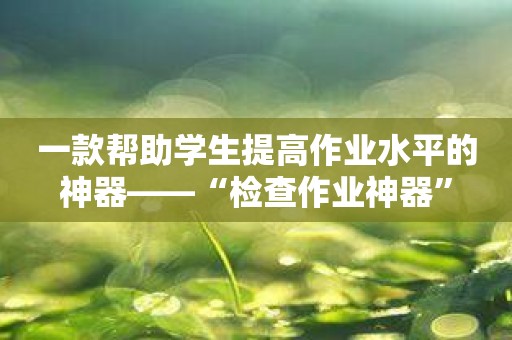 一款帮助学生提高作业水平的神器——“检查作业神器”