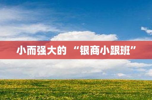 小而强大的 “银商小跟班”