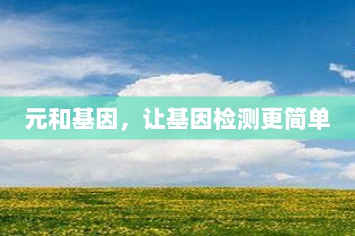 元和基因，让基因检测更简单
