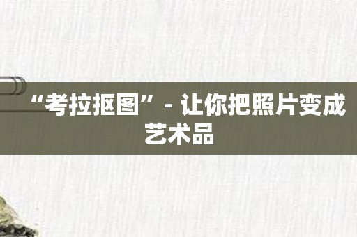 “考拉抠图”- 让你把照片变成艺术品