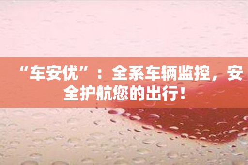 “车安优”：全系车辆监控，安全护航您的出行！