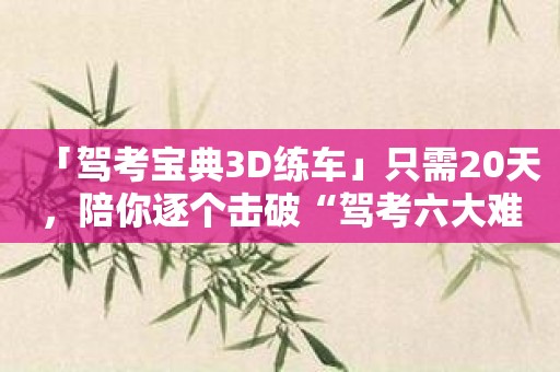 「驾考宝典3D练车」只需20天，陪你逐个击破“驾考六大难题”