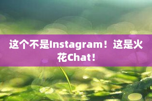 这个不是Instagram！这是火花Chat！