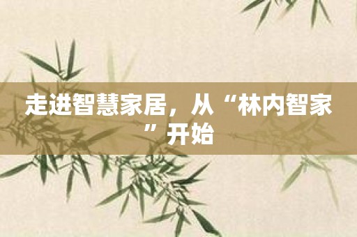 走进智慧家居，从“林内智家”开始