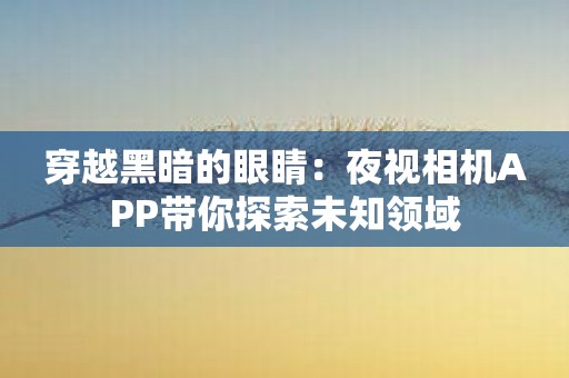 穿越黑暗的眼睛：夜视相机APP带你探索未知领域