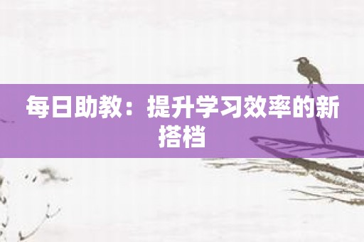 每日助教：提升学习效率的新搭档
