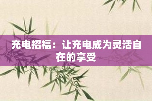 充电招福：让充电成为灵活自在的享受
