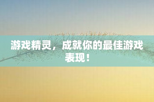 游戏精灵，成就你的最佳游戏表现！