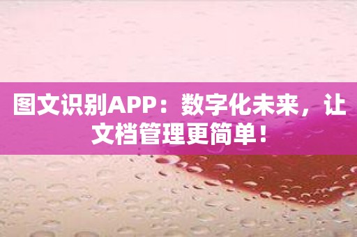 图文识别APP：数字化未来，让文档管理更简单！