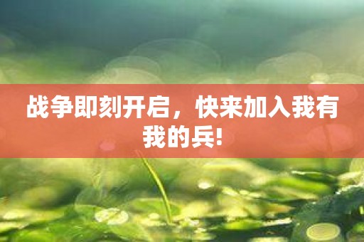 战争即刻开启，快来加入我有我的兵!