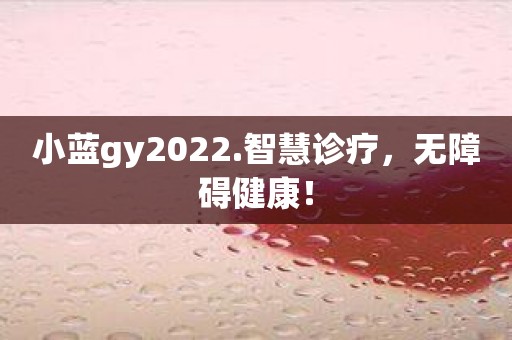 小蓝gy2022.智慧诊疗，无障碍健康！