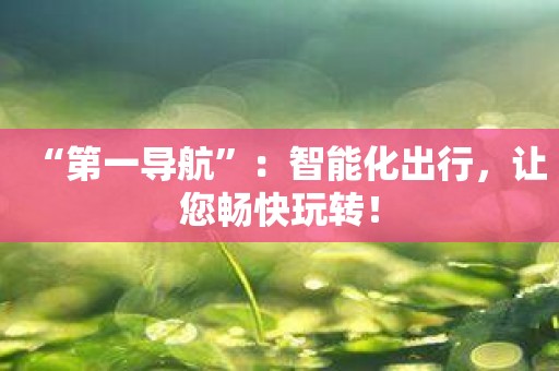 “第一导航”：智能化出行，让您畅快玩转！