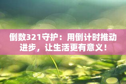 倒数321守护：用倒计时推动进步，让生活更有意义！