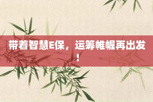 带着智慧E保，运筹帷幄再出发！