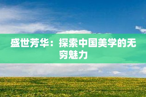盛世芳华：探索中国美学的无穷魅力