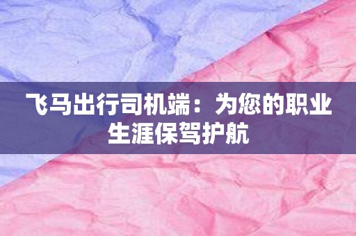 飞马出行司机端：为您的职业生涯保驾护航