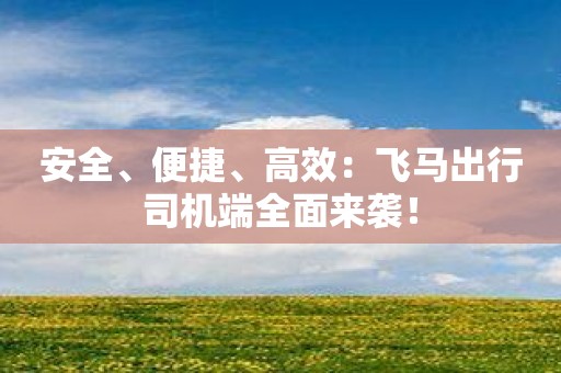 安全、便捷、高效：飞马出行司机端全面来袭！