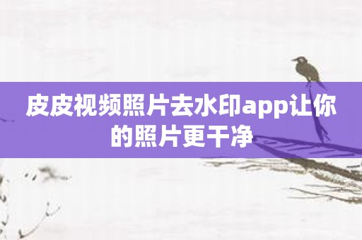 皮皮视频照片去水印app让你的照片更干净