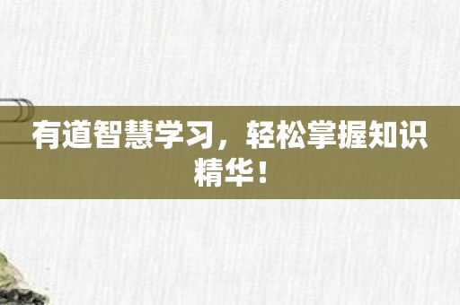 有道智慧学习，轻松掌握知识精华！