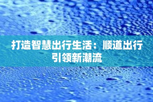 打造智慧出行生活：顺道出行引领新潮流