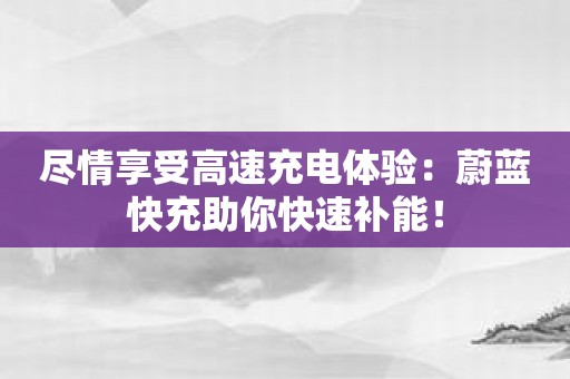 尽情享受高速充电体验：蔚蓝快充助你快速补能！