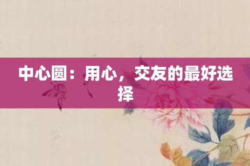 中心圆：用心，交友的最好选择