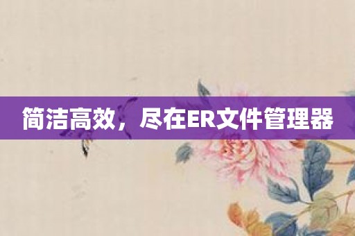 简洁高效，尽在ER文件管理器