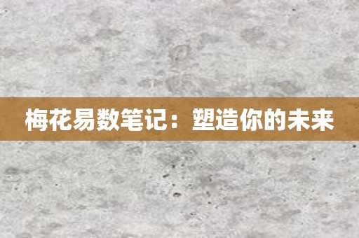 梅花易数笔记：塑造你的未来
