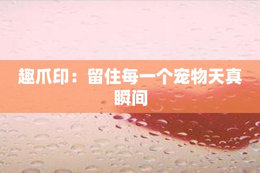 趣爪印：留住每一个宠物天真瞬间