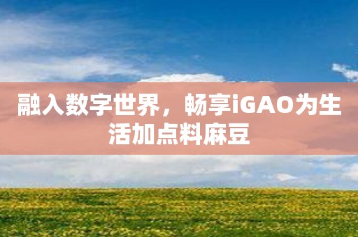 融入数字世界，畅享iGAO为生活加点料麻豆