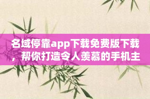 名域停靠app下载免费版下载，帮你打造令人羡慕的手机主屏风格！